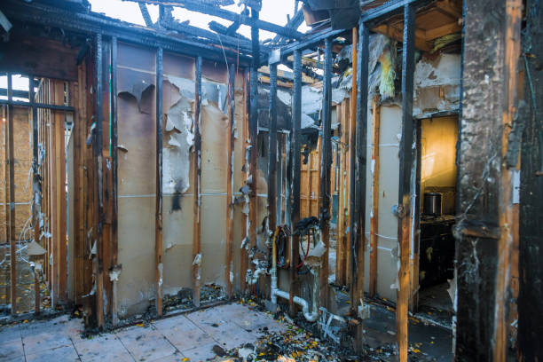 Professional Fire Damage Removal technician working in Davenport, WA